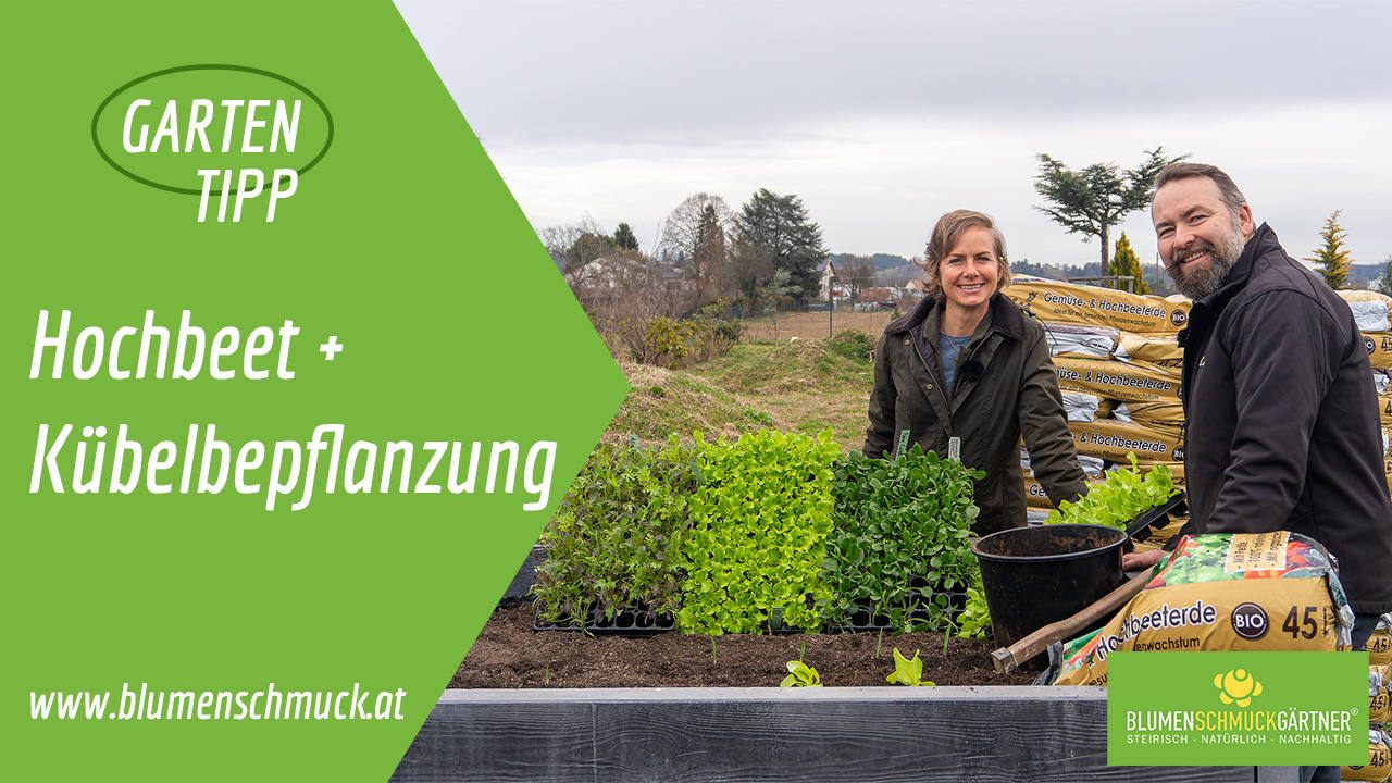 Klicken Sie auf das Bild um zum Video zu gelangen!