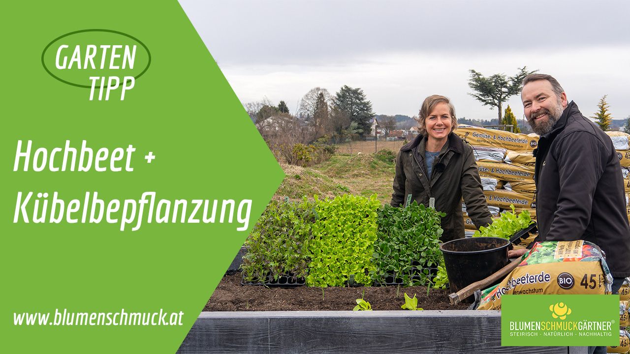 Klicken Sie auf das Bild um zum Video zu gelangen!